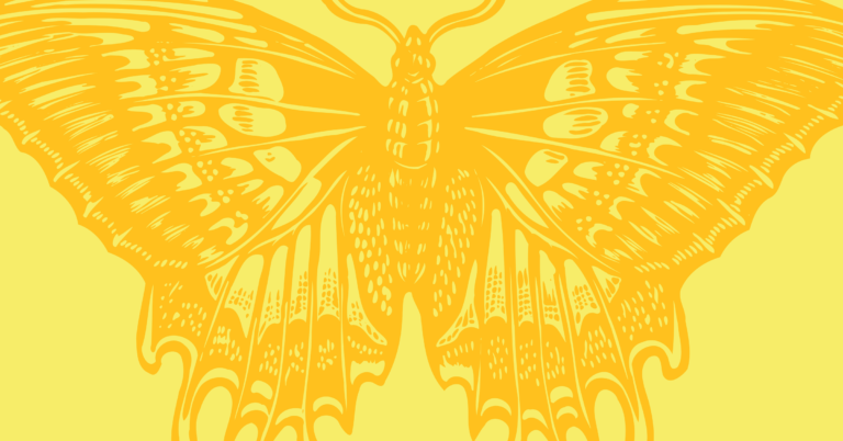 XR-Grand Butterfly Yellow